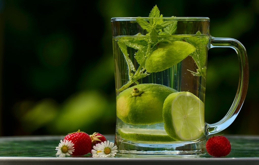 Mobile Detox IV Therapy: On-Demand Wellness for Tampa Bay Professionals