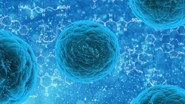 Rejuvenate from Within: The Science of NAD+ IV Therapy in Tampa Bay