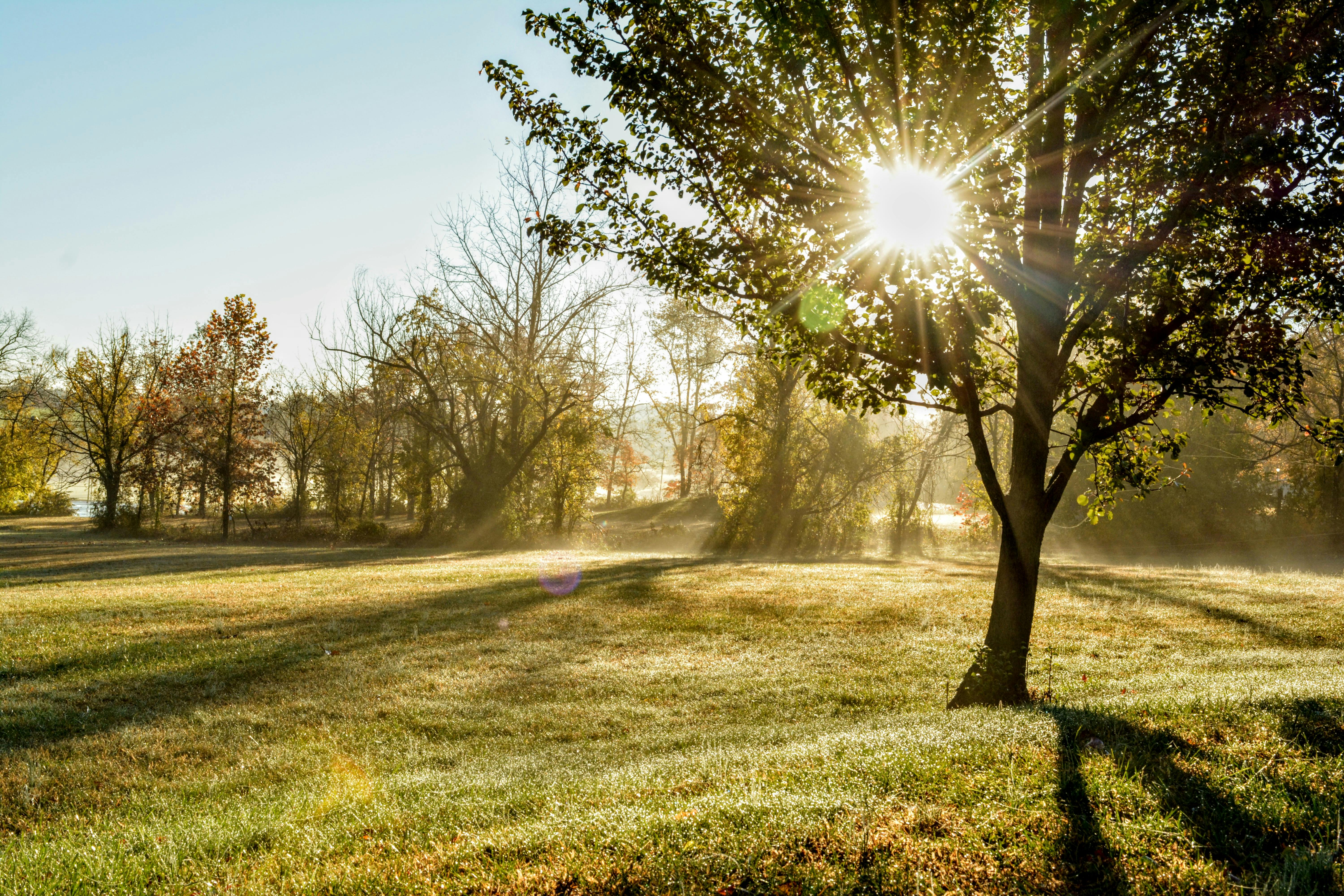 The Hidden Danger in Your Morning Routine That's Aging You Faster