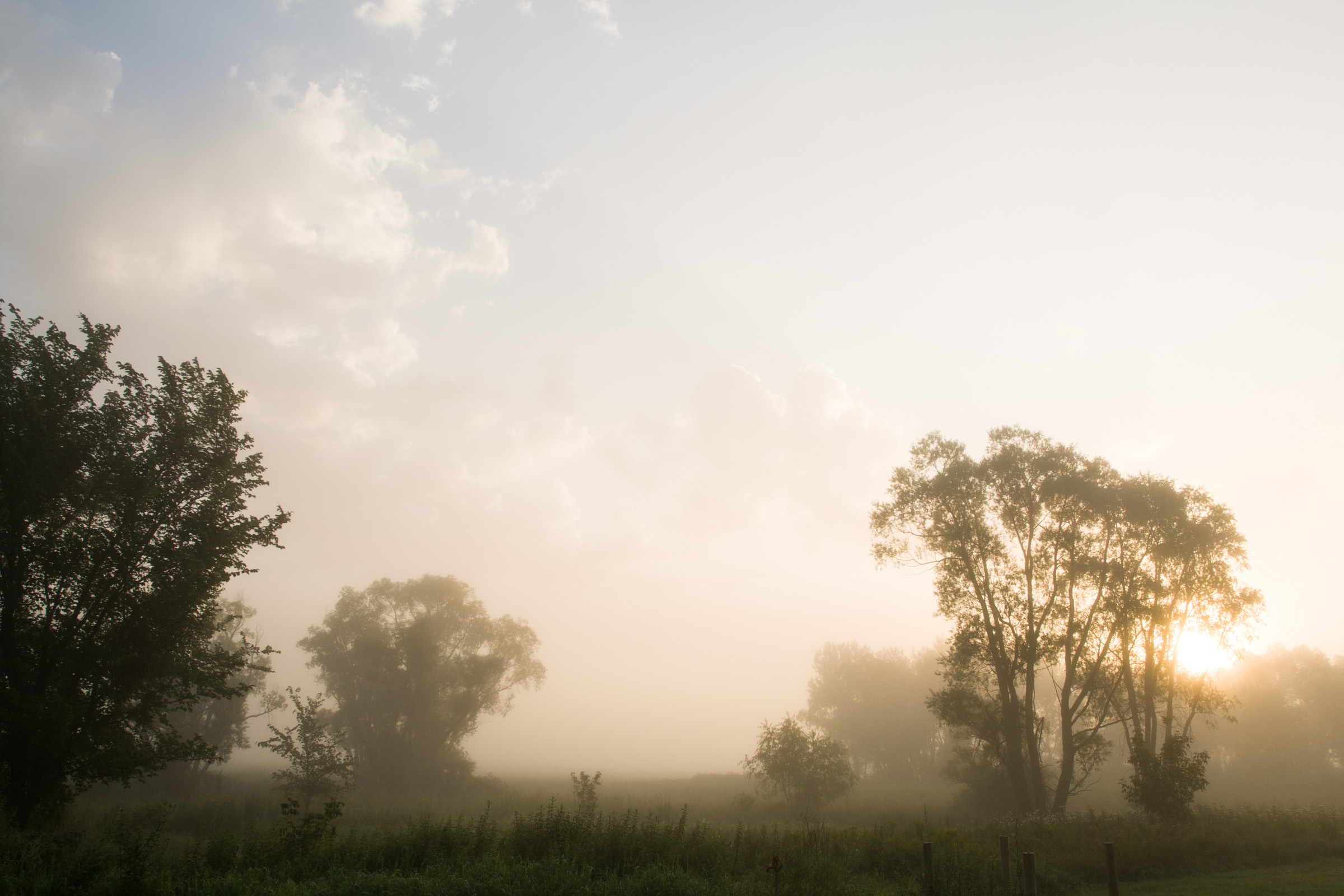 What Florida's Humidity is Really Telling You About Your Health