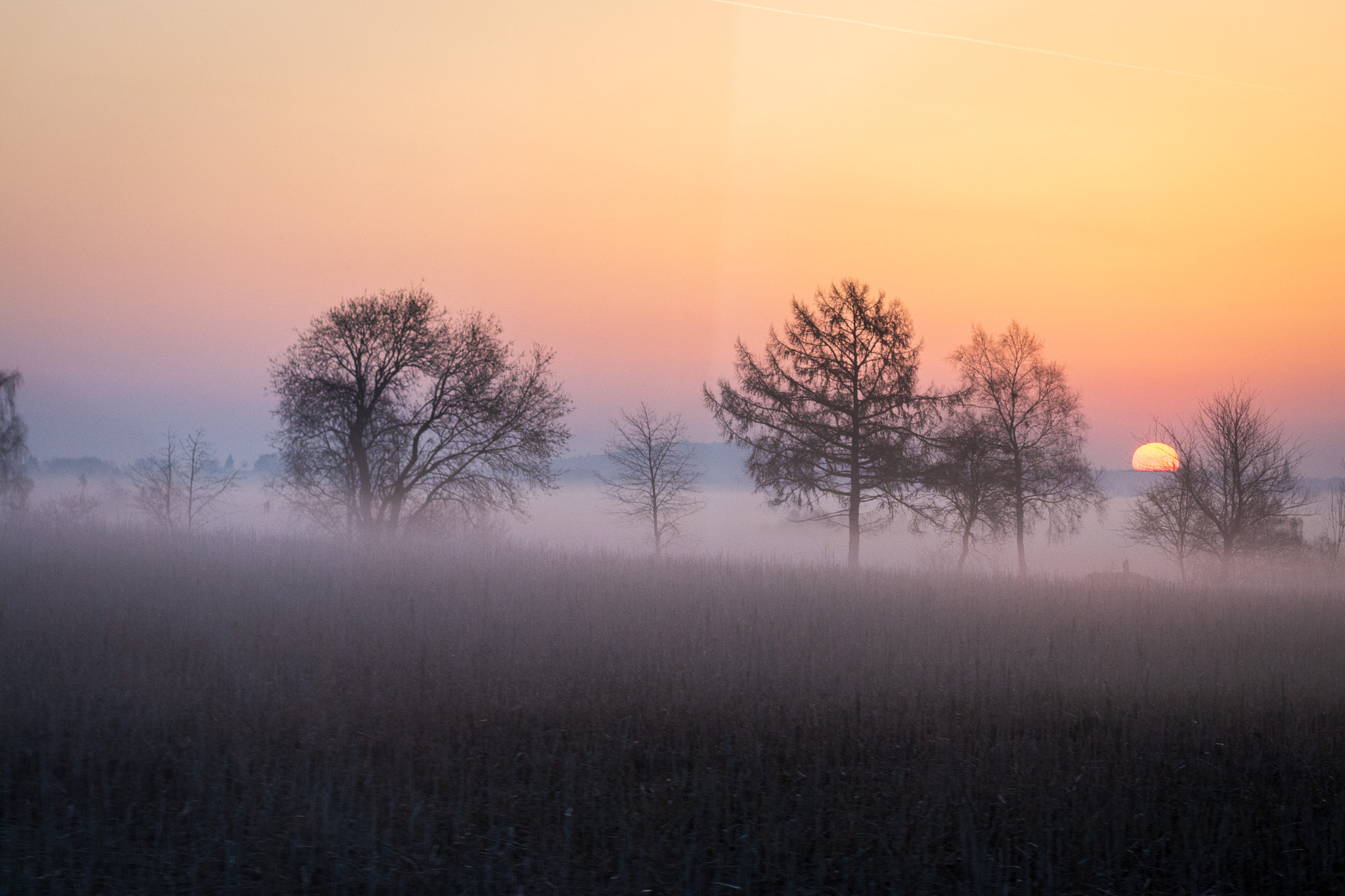 5 Morning Rituals to Transform Your Day, Boost Energy, and Reduce Stress