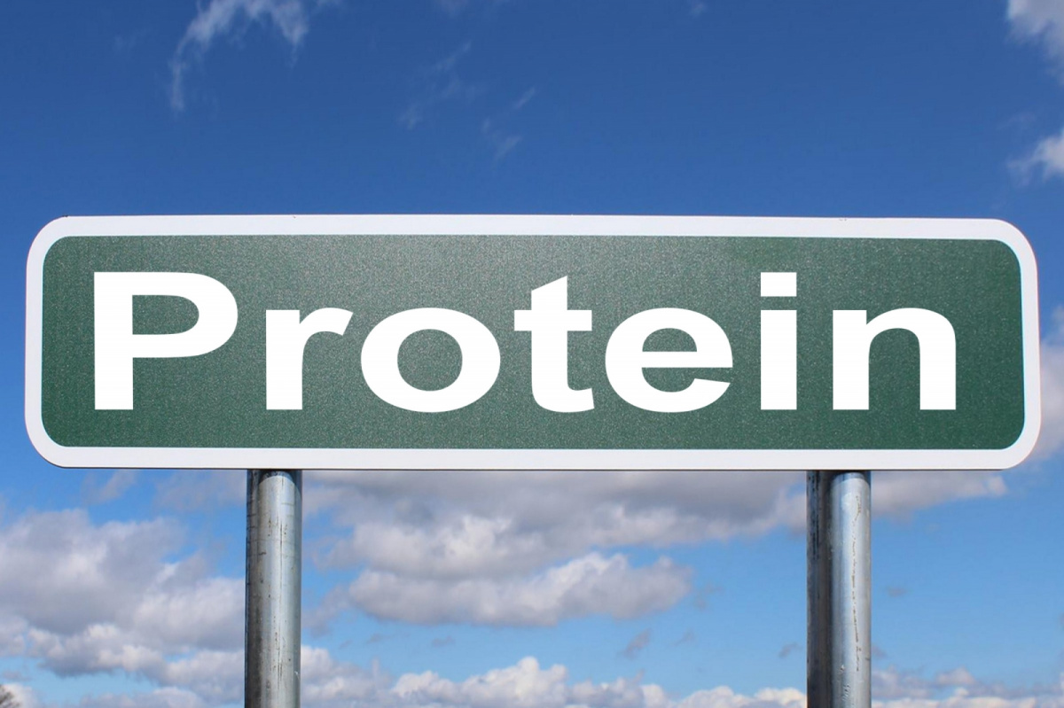 The Power of Protein: Why It's Essential for More Than Just Muscles