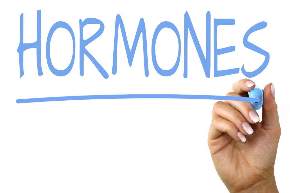 The Hormone Harmony: Understanding Your Body's Chemical Messengers